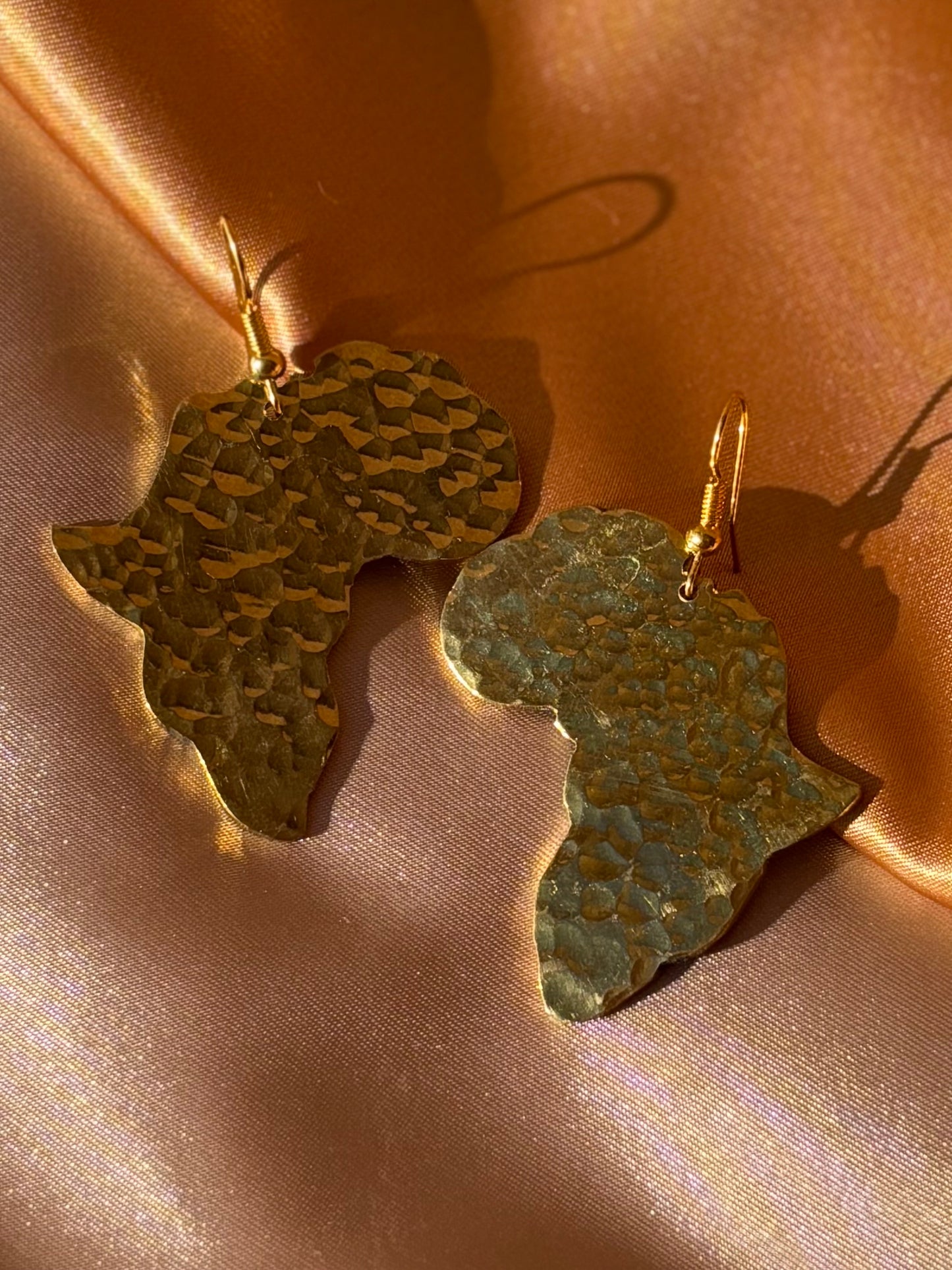 Brass Africa Earrings