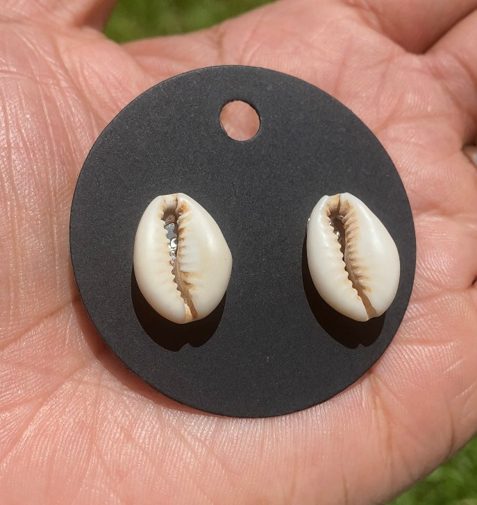 Cowrie Shell Stud Earrings
