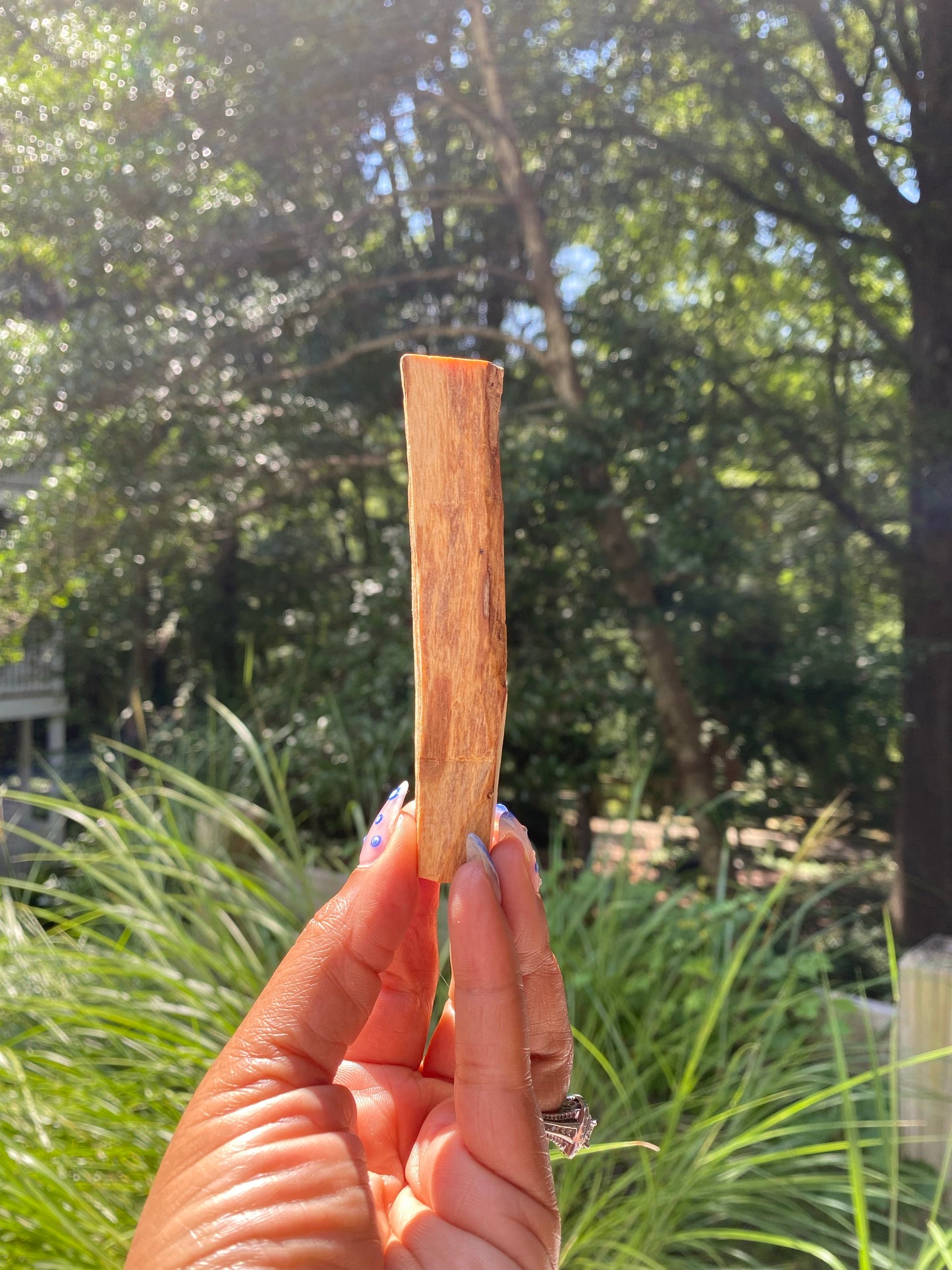 Palo Santo
