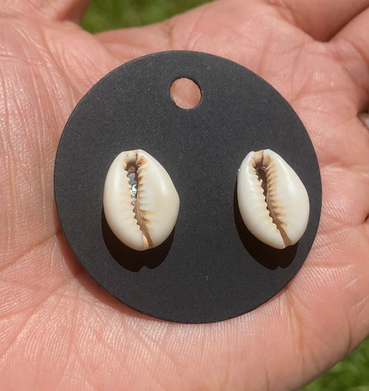 Cowrie Shell Stud Earrings