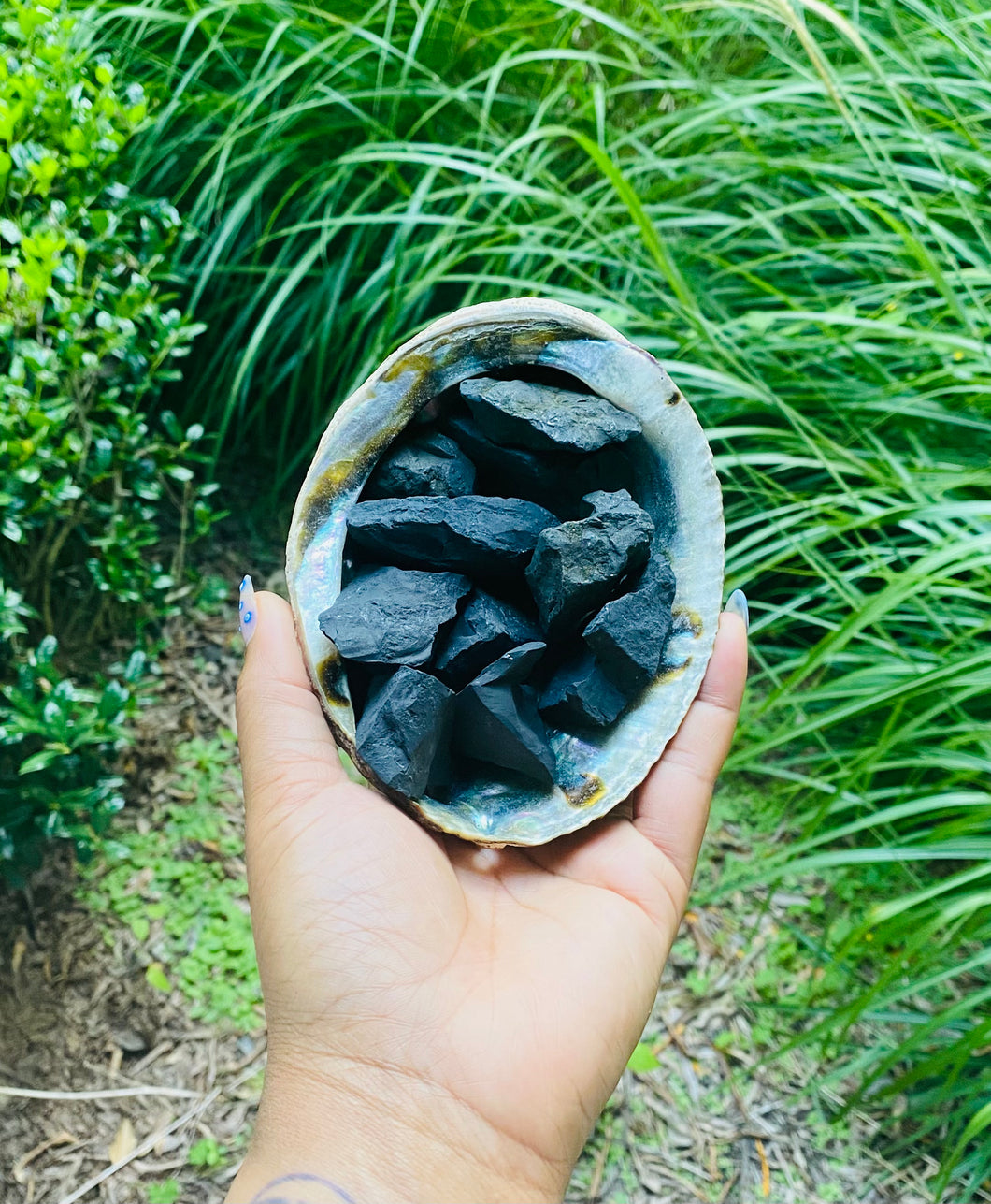 Shungite
