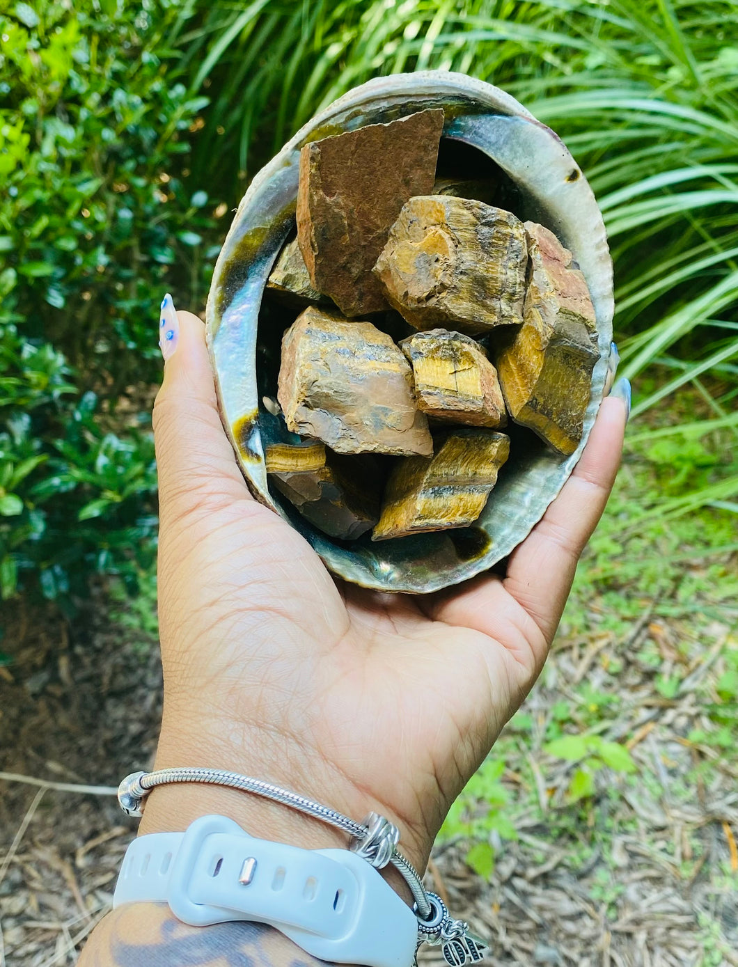 Tigers Eye